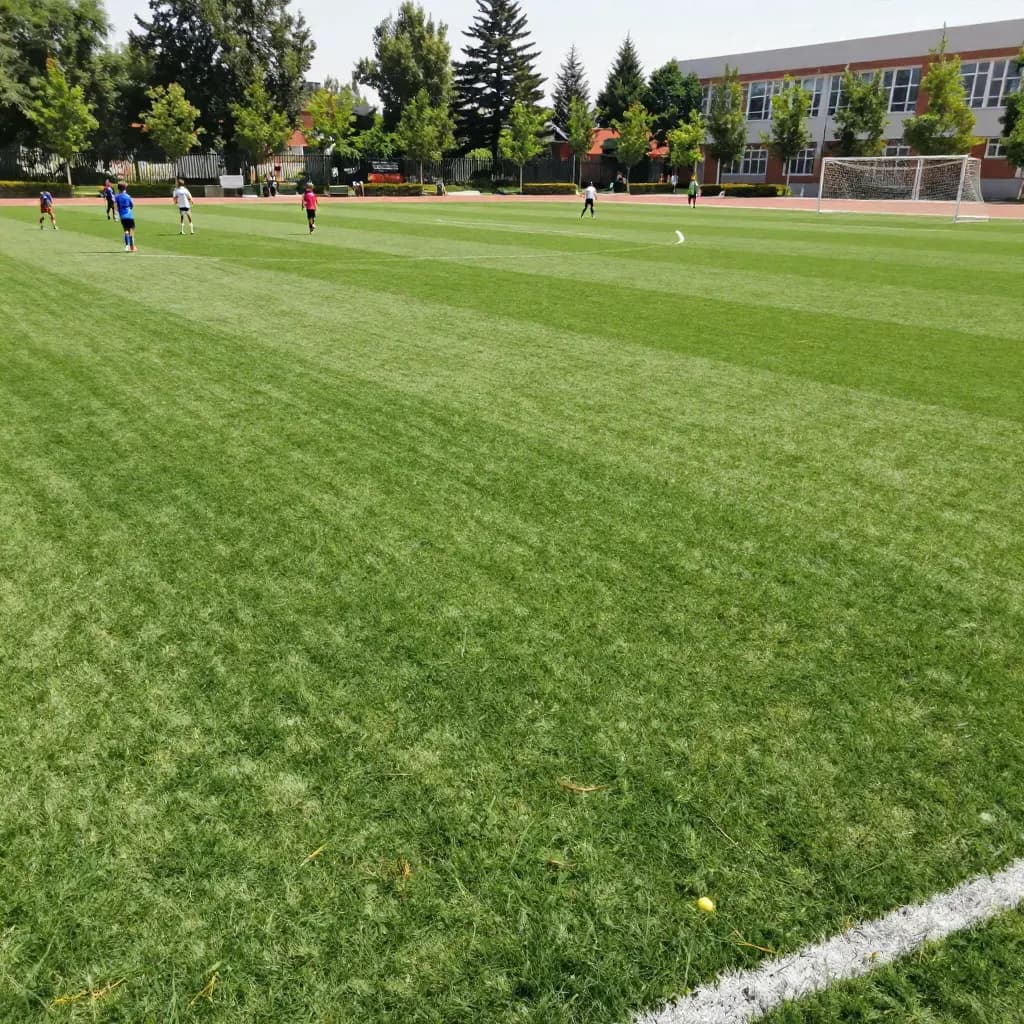 Césped Deportivo para Colegio en Rivas-Vaciamadrid