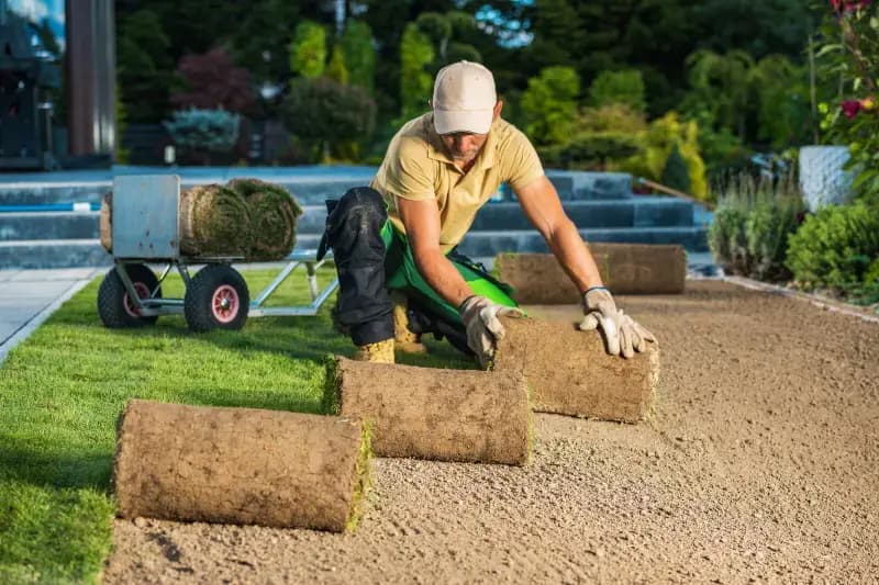 Instalación de Césped - Servicio profesional de jardinería en Madrid por Jardinería Jofeva