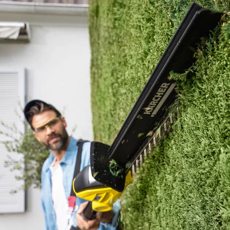 Poda de Setos - Servicio profesional de jardinería en Madrid por Jardinería Jofeva
