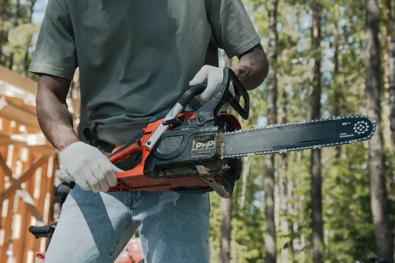 Poda y Tala de Árboles - Servicio profesional de jardinería en Madrid por Jardinería Jofeva